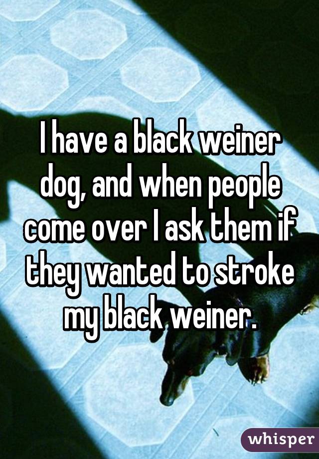 I have a black weiner dog, and when people come over I ask them if they wanted to stroke my black weiner.