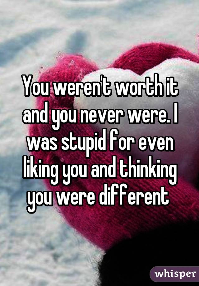 You weren't worth it and you never were. I was stupid for even liking you and thinking you were different 