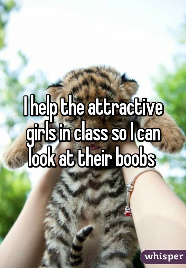 I help the attractive girls in class so I can look at their boobs 