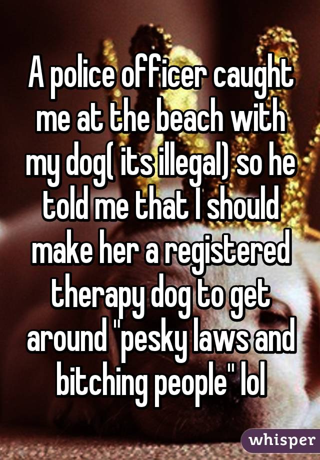 A police officer caught me at the beach with my dog( its illegal) so he told me that I should make her a registered therapy dog to get around "pesky laws and bitching people" lol