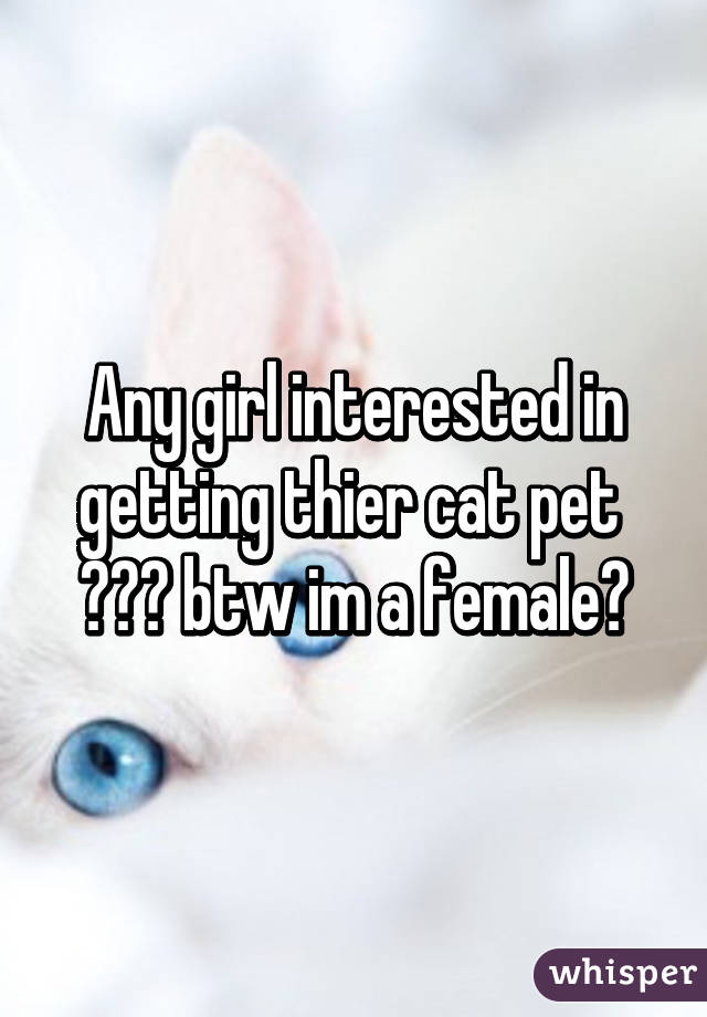 Any girl interested in getting thier cat pet  🐱😉👅 btw im a female👩