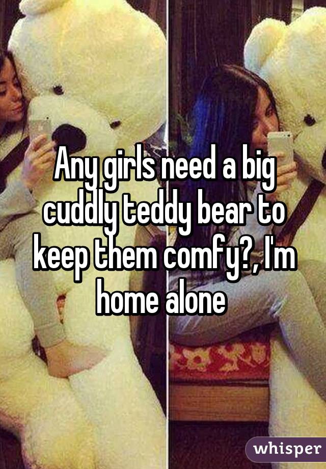 Any girls need a big cuddly teddy bear to keep them comfy?, I'm home alone 