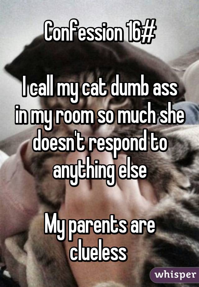 Confession 16#

I call my cat dumb ass in my room so much she doesn't respond to anything else

My parents are clueless 