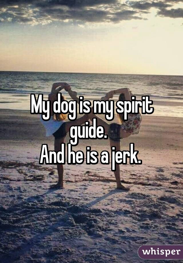 My dog is my spirit guide.  
And he is a jerk. 