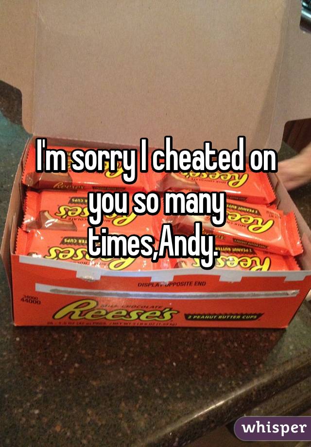 I'm sorry I cheated on you so many times,Andy. 
