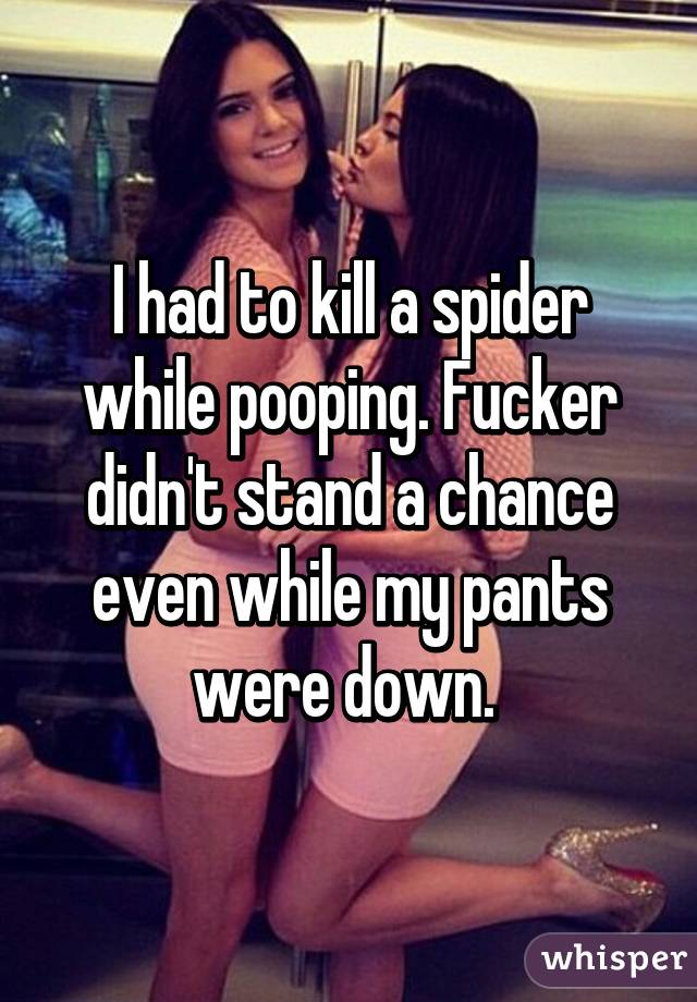 I had to kill a spider while pooping. Fucker didn't stand a chance even while my pants were down. 