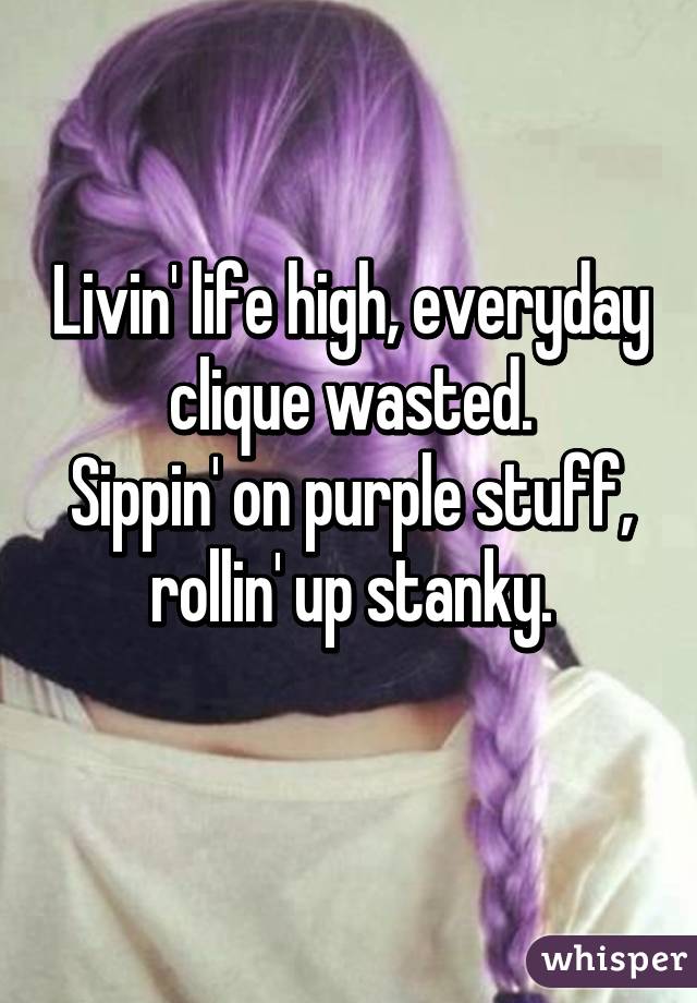 Livin' life high, everyday clique wasted.
Sippin' on purple stuff, rollin' up stanky.
