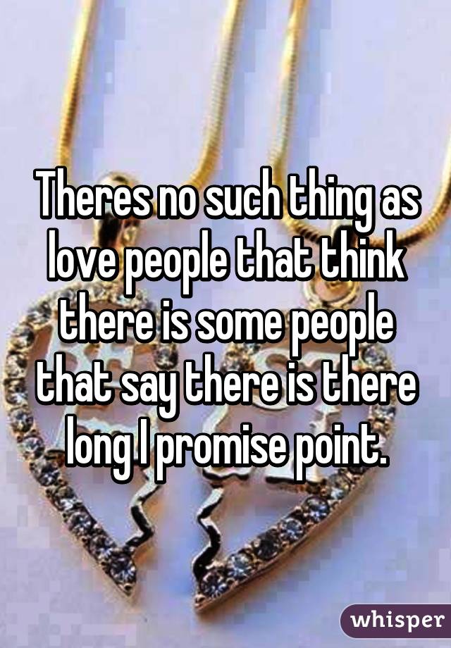 Theres no such thing as love people that think there is some people that say there is there long I promise point.