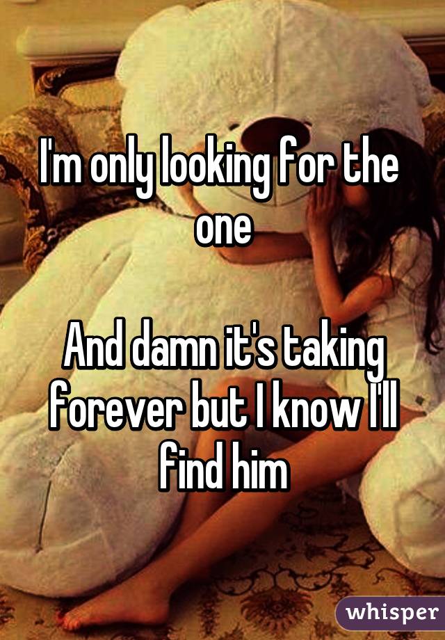 I'm only looking for the  one

And damn it's taking forever but I know I'll find him