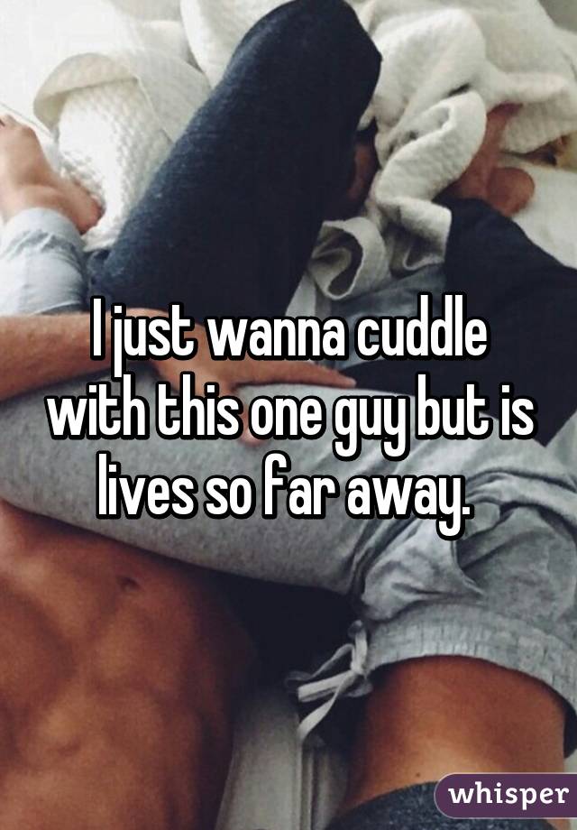 I just wanna cuddle with this one guy but is lives so far away. 