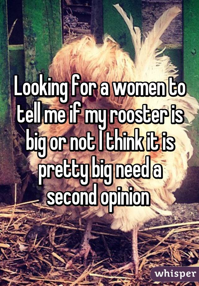 Looking for a women to tell me if my rooster is big or not I think it is pretty big need a second opinion 