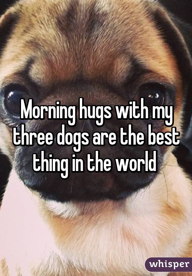 Morning hugs with my three dogs are the best thing in the world 