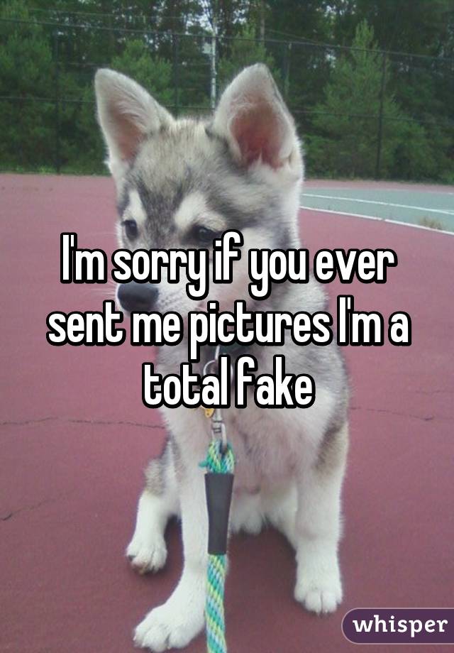 I'm sorry if you ever sent me pictures I'm a total fake