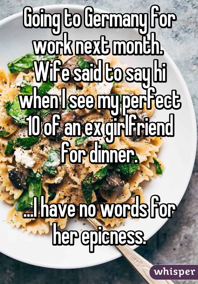 Going to Germany for work next month.  Wife said to say hi when I see my perfect 10 of an ex girlfriend for dinner.

...I have no words for her epicness.
