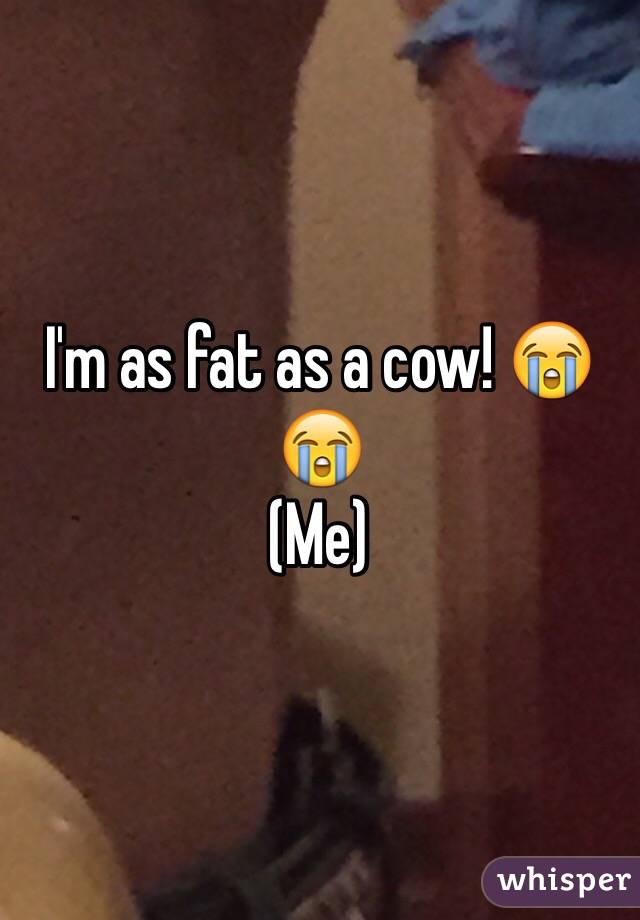 I'm as fat as a cow! 😭😭
(Me) 