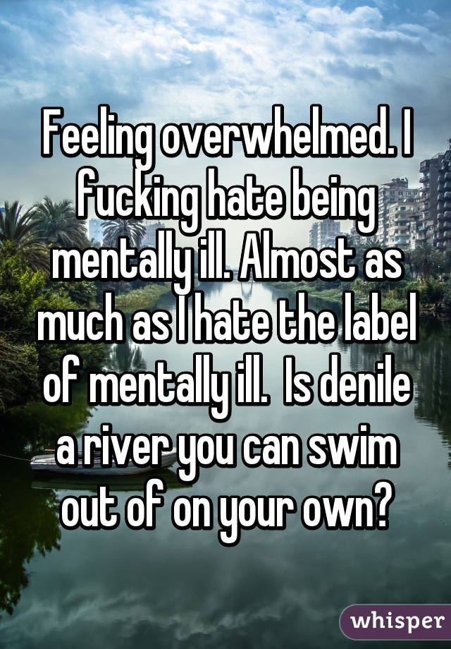 Feeling overwhelmed. I fucking hate being mentally ill. Almost as much as I hate the label of mentally ill.  Is denile a river you can swim out of on your own?