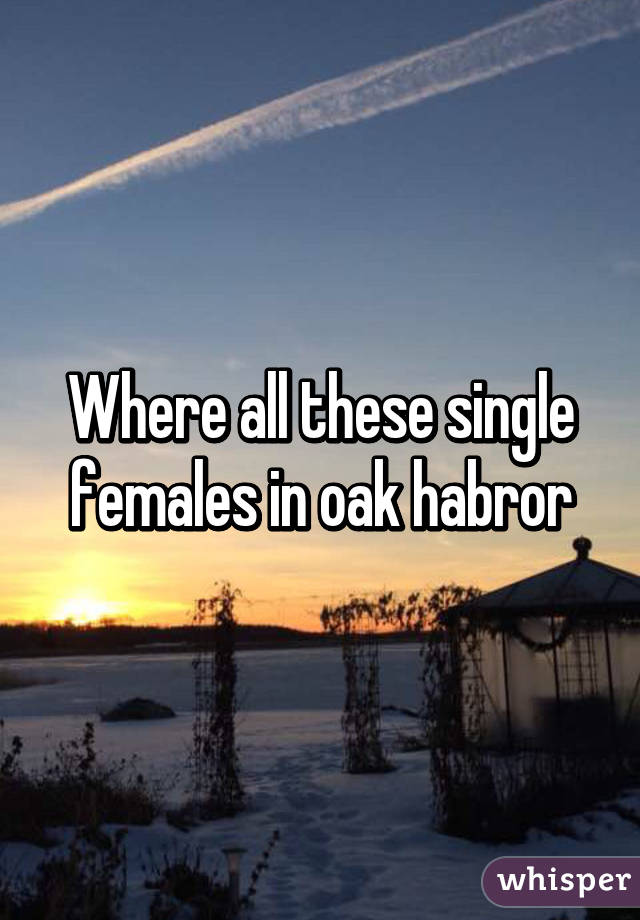 Where all these single females in oak habror