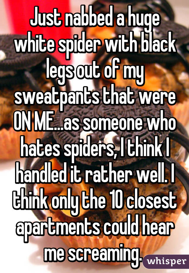 Just nabbed a huge white spider with black legs out of my sweatpants that were ON ME...as someone who hates spiders, I think I handled it rather well. I think only the 10 closest apartments could hear me screaming. 