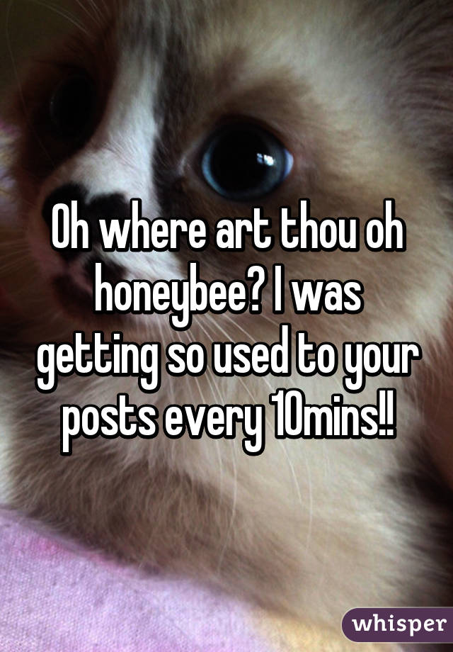 Oh where art thou oh honeybee? I was getting so used to your posts every 10mins!!