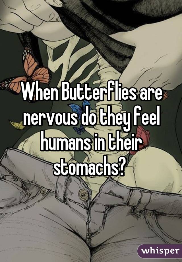 When Butterflies are nervous do they feel humans in their stomachs? 