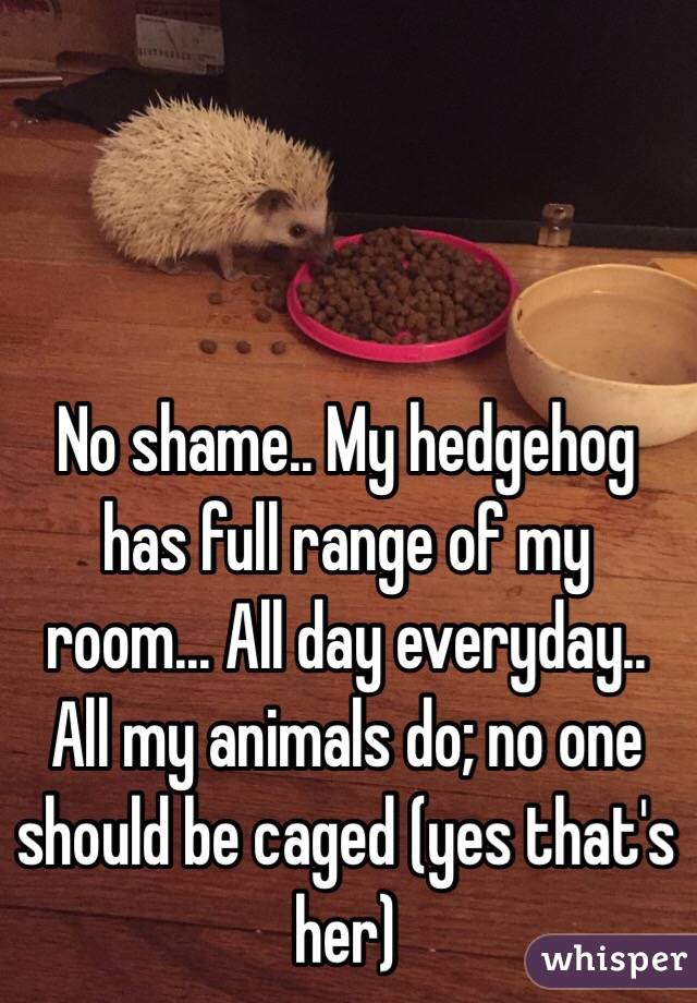 



No shame.. My hedgehog has full range of my room... All day everyday.. All my animals do; no one should be caged (yes that's her)