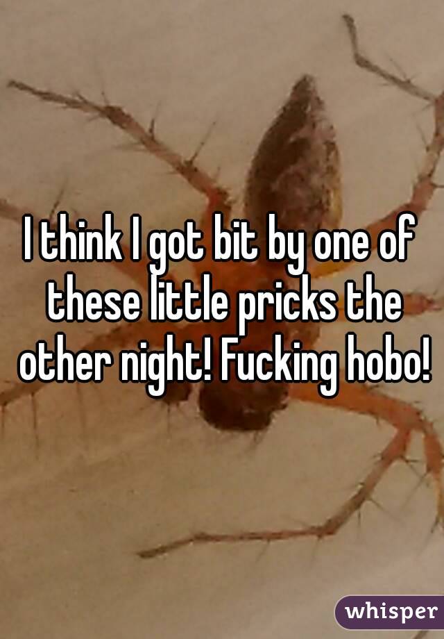 I think I got bit by one of these little pricks the other night! Fucking hobo!