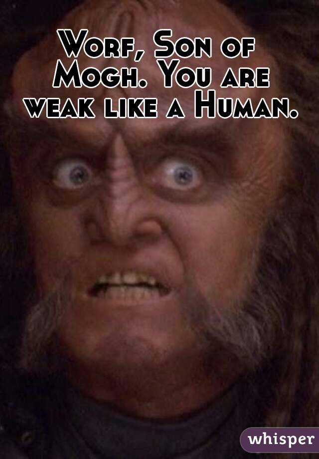 Worf, Son of Mogh. You are weak like a Human.