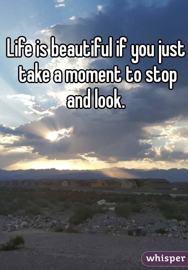 Life is beautiful if you just take a moment to stop and look. 