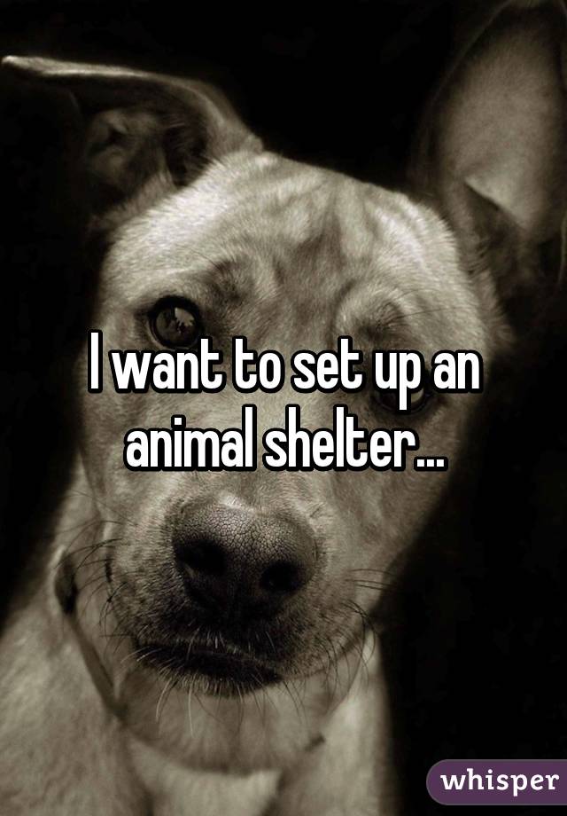 I want to set up an animal shelter...