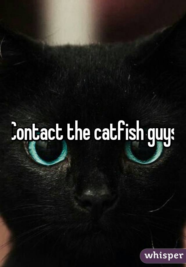 Contact the catfish guys