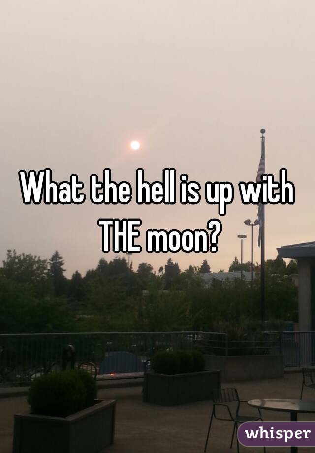 What the hell is up with THE moon?