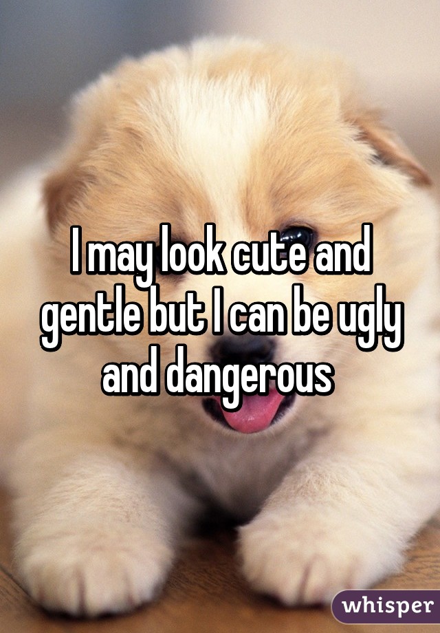 I may look cute and gentle but I can be ugly and dangerous 