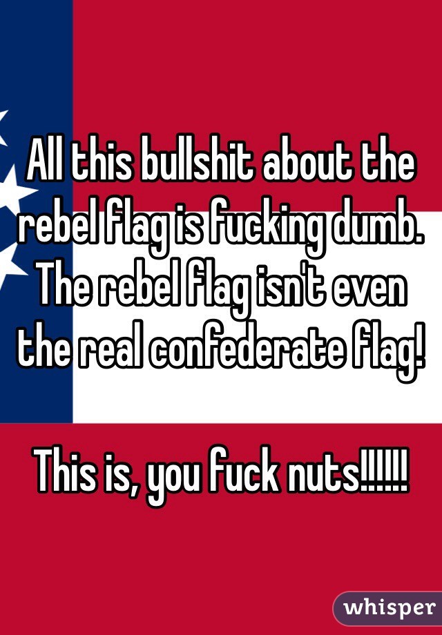 All this bullshit about the rebel flag is fucking dumb. The rebel flag isn't even the real confederate flag!

This is, you fuck nuts!!!!!!