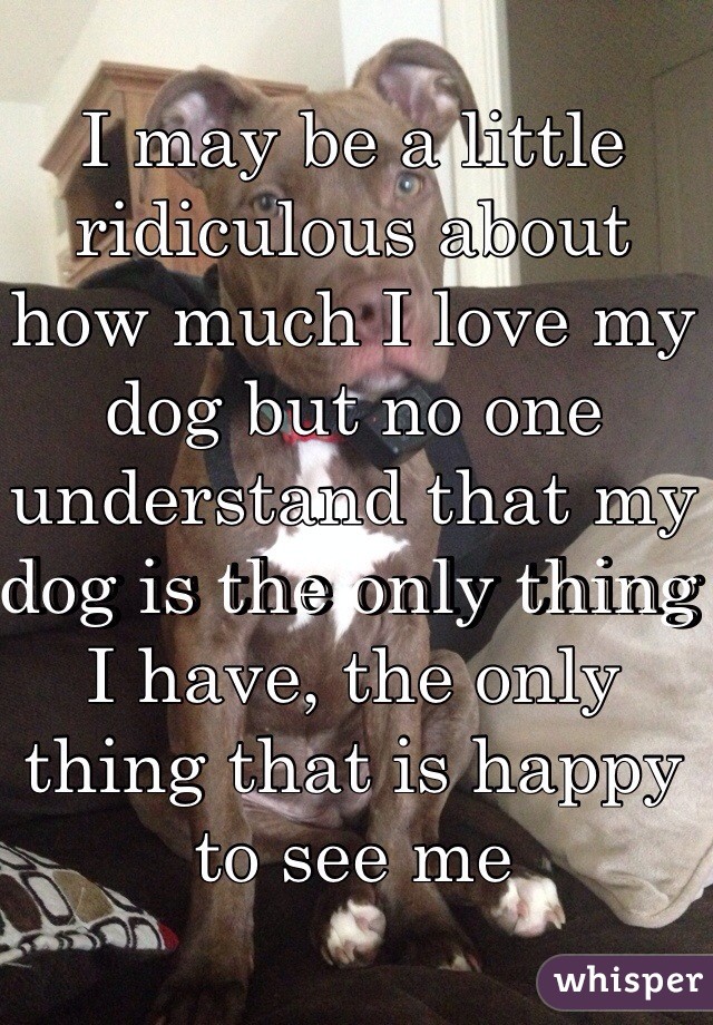 I may be a little ridiculous about how much I love my dog but no one understand that my dog is the only thing I have, the only thing that is happy to see me