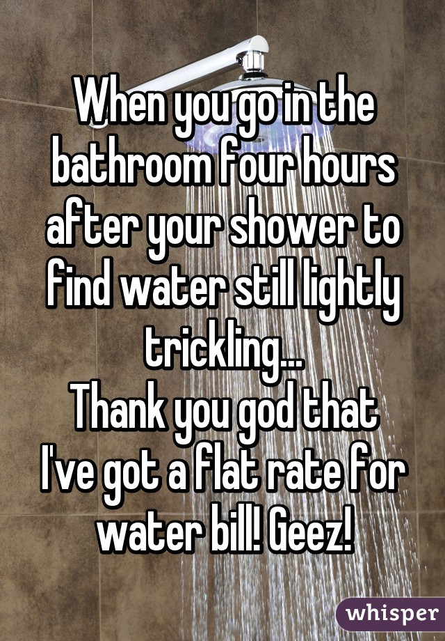 When you go in the bathroom four hours after your shower to find water still lightly trickling...
Thank you god that I've got a flat rate for water bill! Geez!