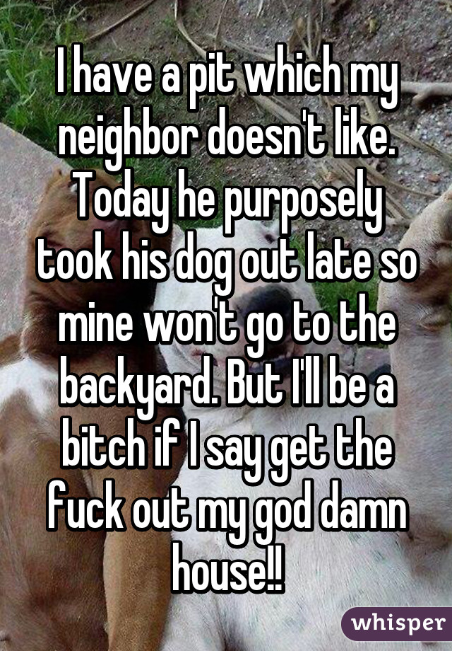 I have a pit which my neighbor doesn't like. Today he purposely took his dog out late so mine won't go to the backyard. But I'll be a bitch if I say get the fuck out my god damn house!!