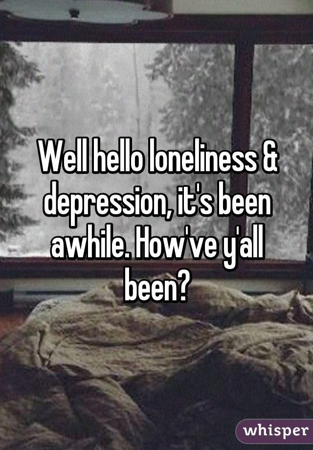 Well hello loneliness & depression, it's been awhile. How've y'all been?