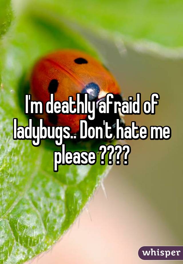 I'm deathly afraid of ladybugs.. Don't hate me please 🐞🐞🐞🐞