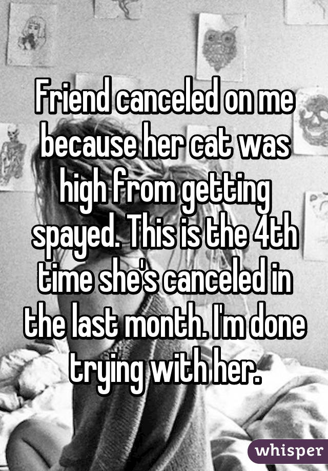 Friend canceled on me because her cat was high from getting spayed. This is the 4th time she's canceled in the last month. I'm done trying with her.