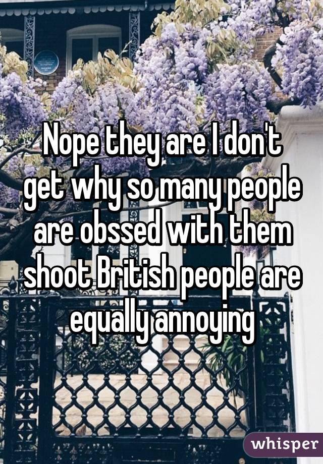 Nope they are I don't get why so many people are obssed with them shoot British people are equally annoying