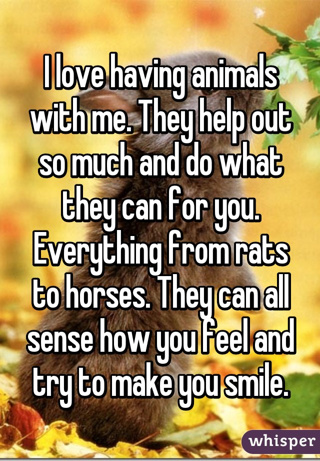 I love having animals with me. They help out so much and do what they can for you. Everything from rats to horses. They can all sense how you feel and try to make you smile.