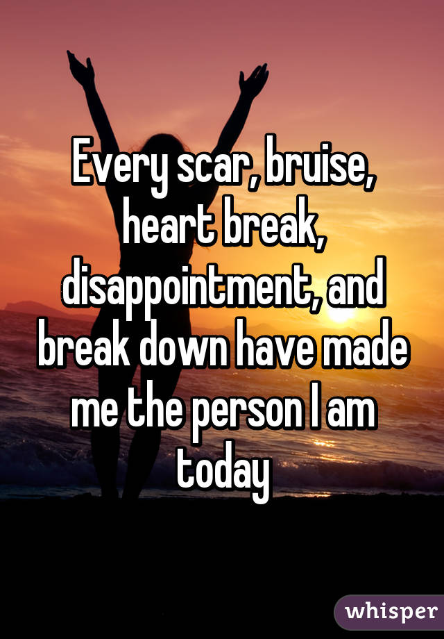 Every scar, bruise, heart break, disappointment, and break down have made me the person I am today