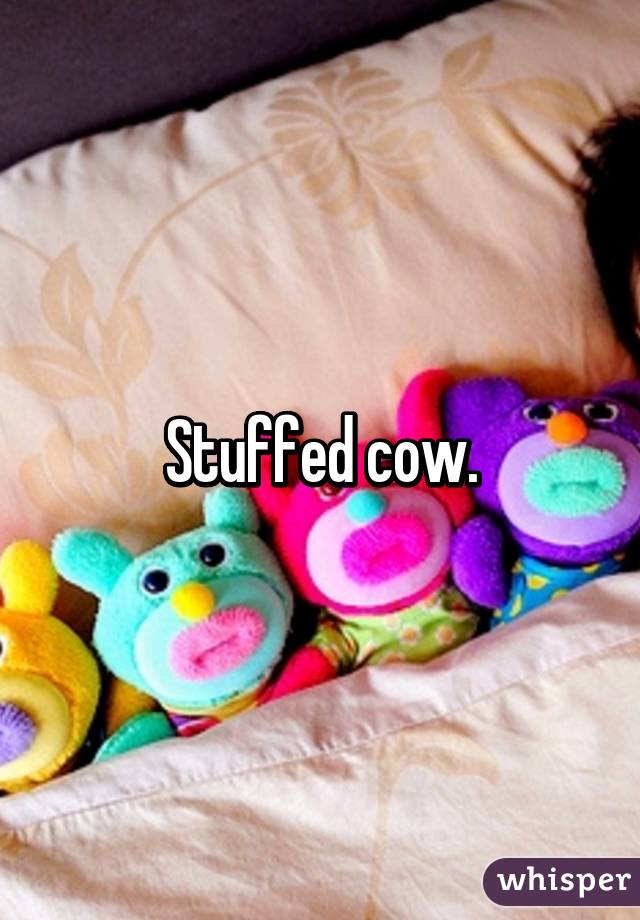 Stuffed cow.