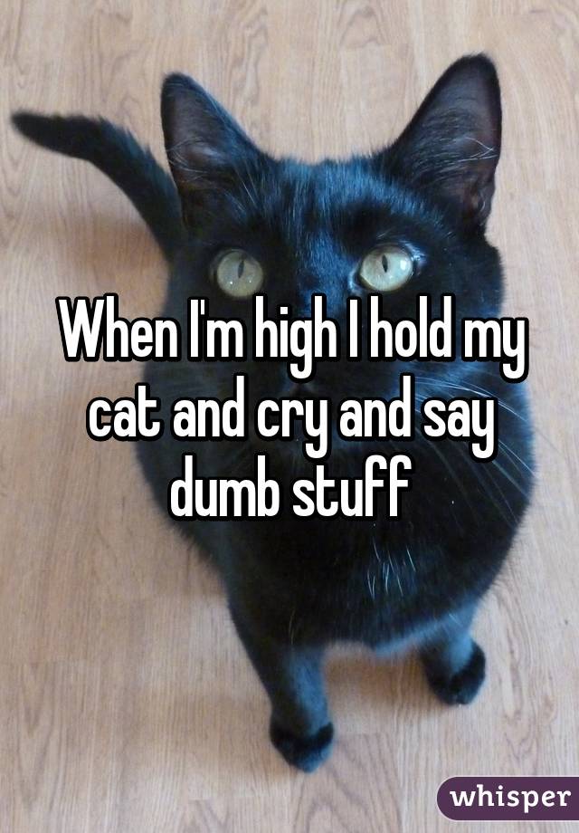 When I'm high I hold my cat and cry and say dumb stuff