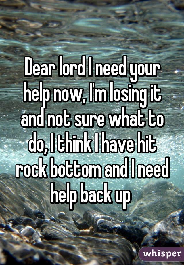 Dear lord I need your help now, I'm losing it and not sure what to do, I think I have hit rock bottom and I need help back up 