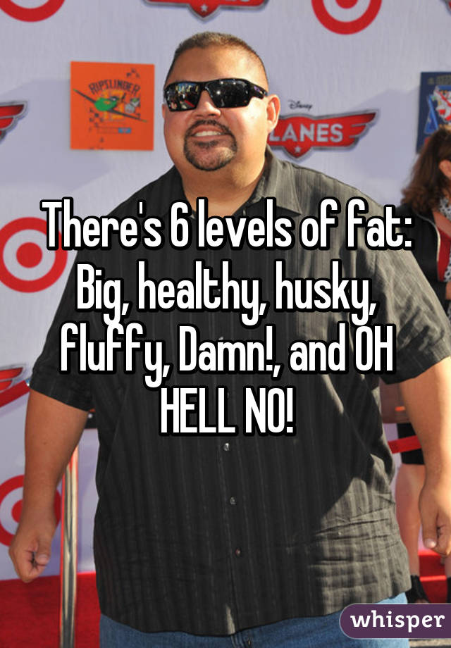 There's 6 levels of fat:
Big, healthy, husky, fluffy, Damn!, and OH HELL NO!