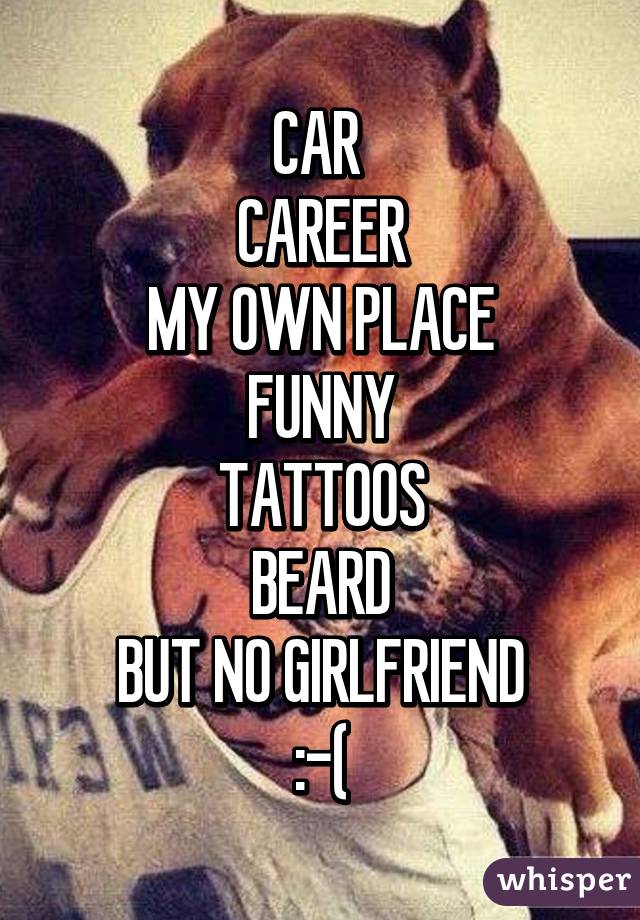 CAR 
CAREER
MY OWN PLACE
FUNNY
TATTOOS
BEARD
BUT NO GIRLFRIEND
:-(