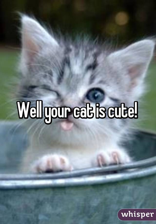 Well your cat is cute! 