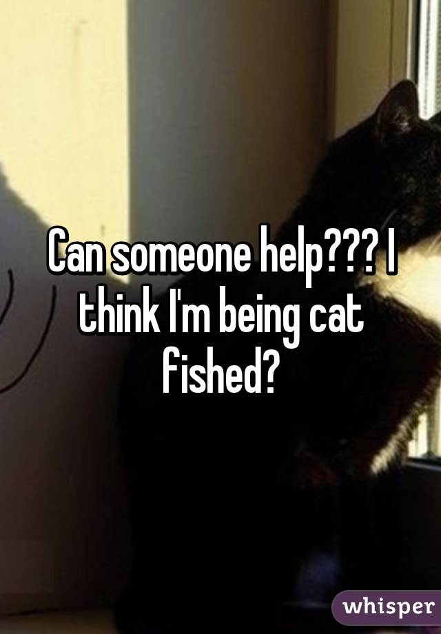 Can someone help??? I think I'm being cat fished😣