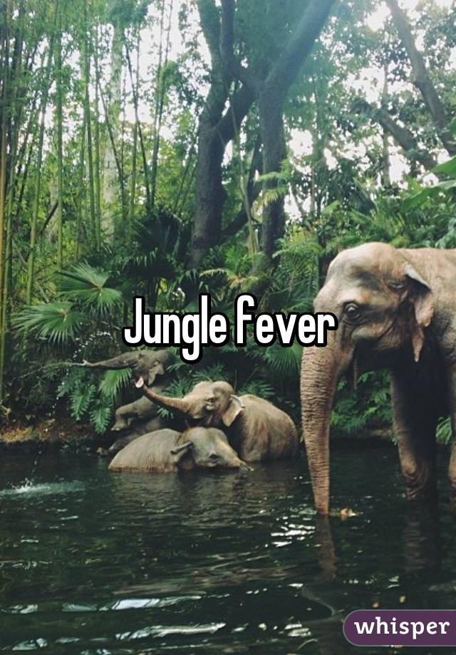 Jungle fever